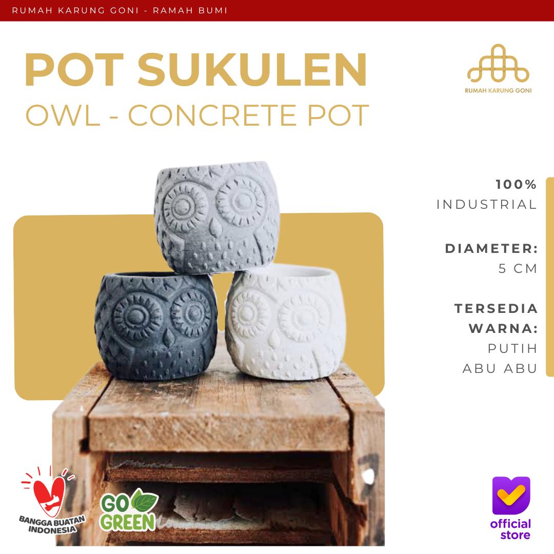 Pot Semen Mini Bentuk Burung Hantu Owl - Pot Sukulen Kaktus Mini - Pot Hewan Unik