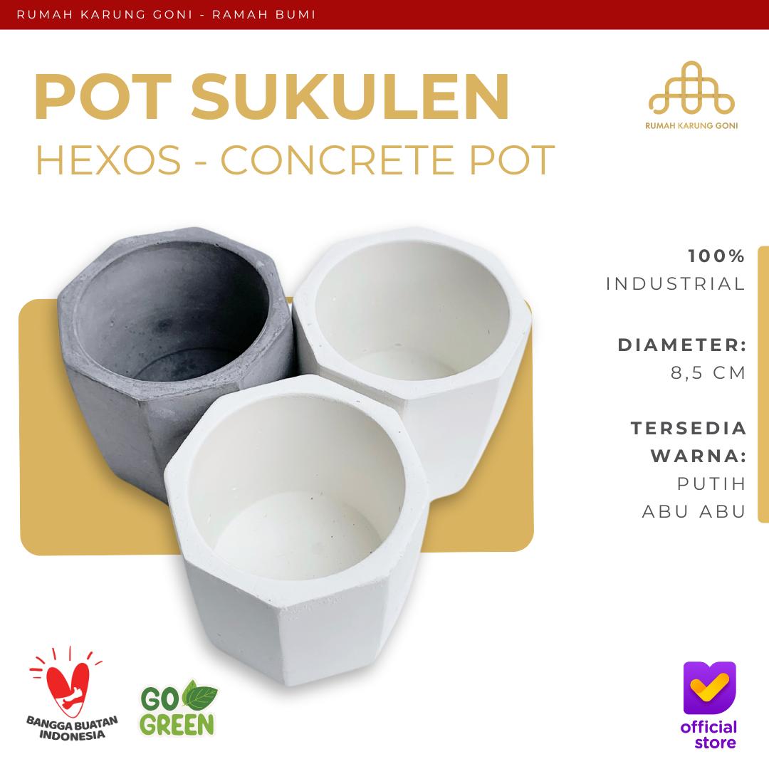 Pot Sukulen Hexos - Indoor Planter - Pot Semen Segienam - Pot Beton