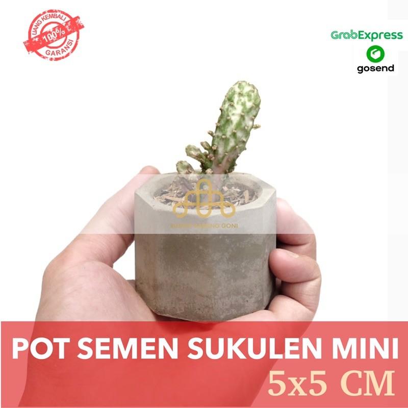 Pot Semen Mini Hexagon 5x5 cm - Pot Sukulen Souvenir Pernikahan - Pot Kaktus Bonsai Kecil