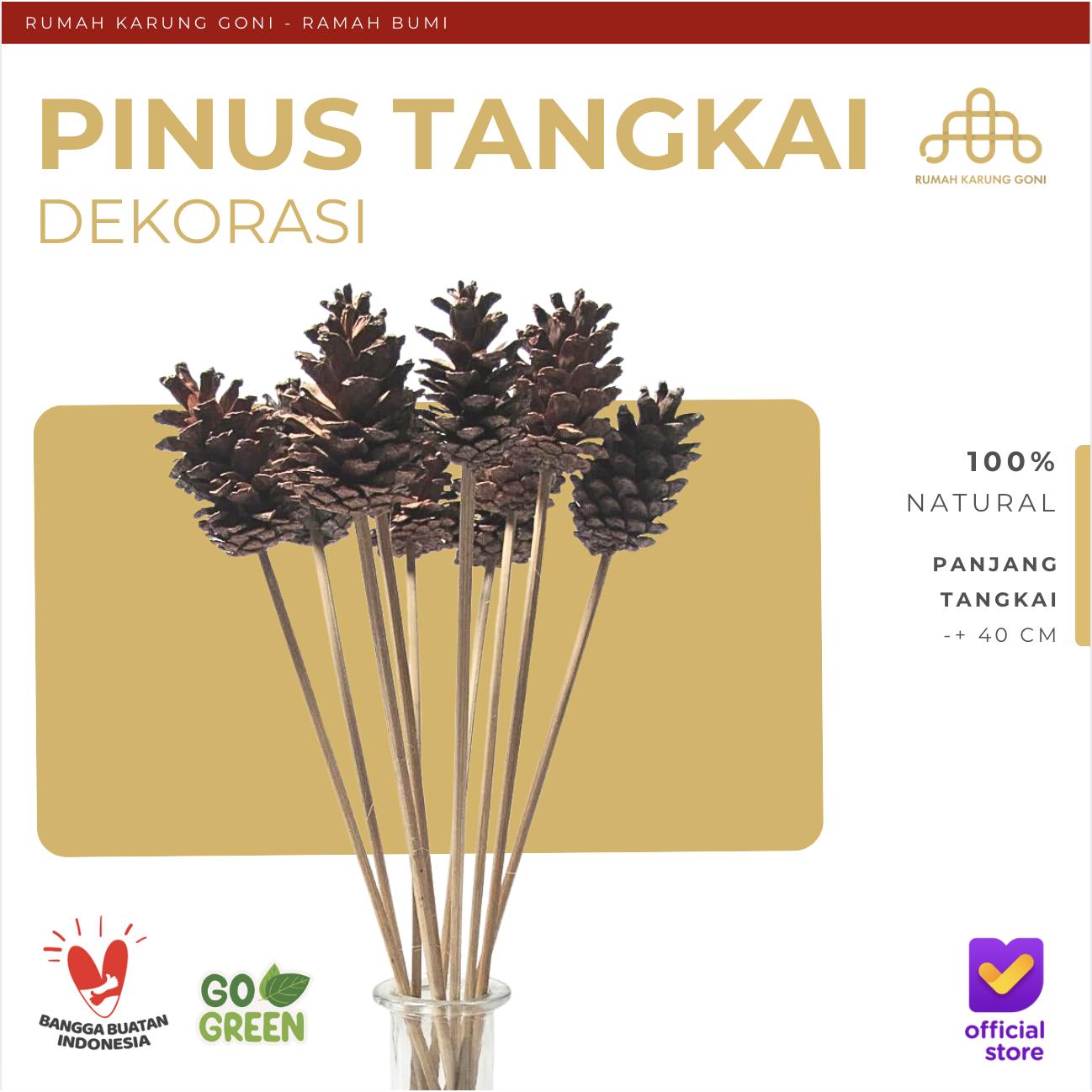 Pinus Tangkai Murah – Bunga Pinus Tangkai – Bunga Kering