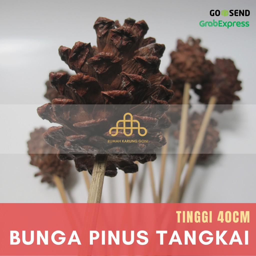 Dekorasi Mahar Buah Pinus Kering Kuncup - Bunga Pinus Cemara Organik - Properti Foto Rustic - Dekorasi Pohon Natal